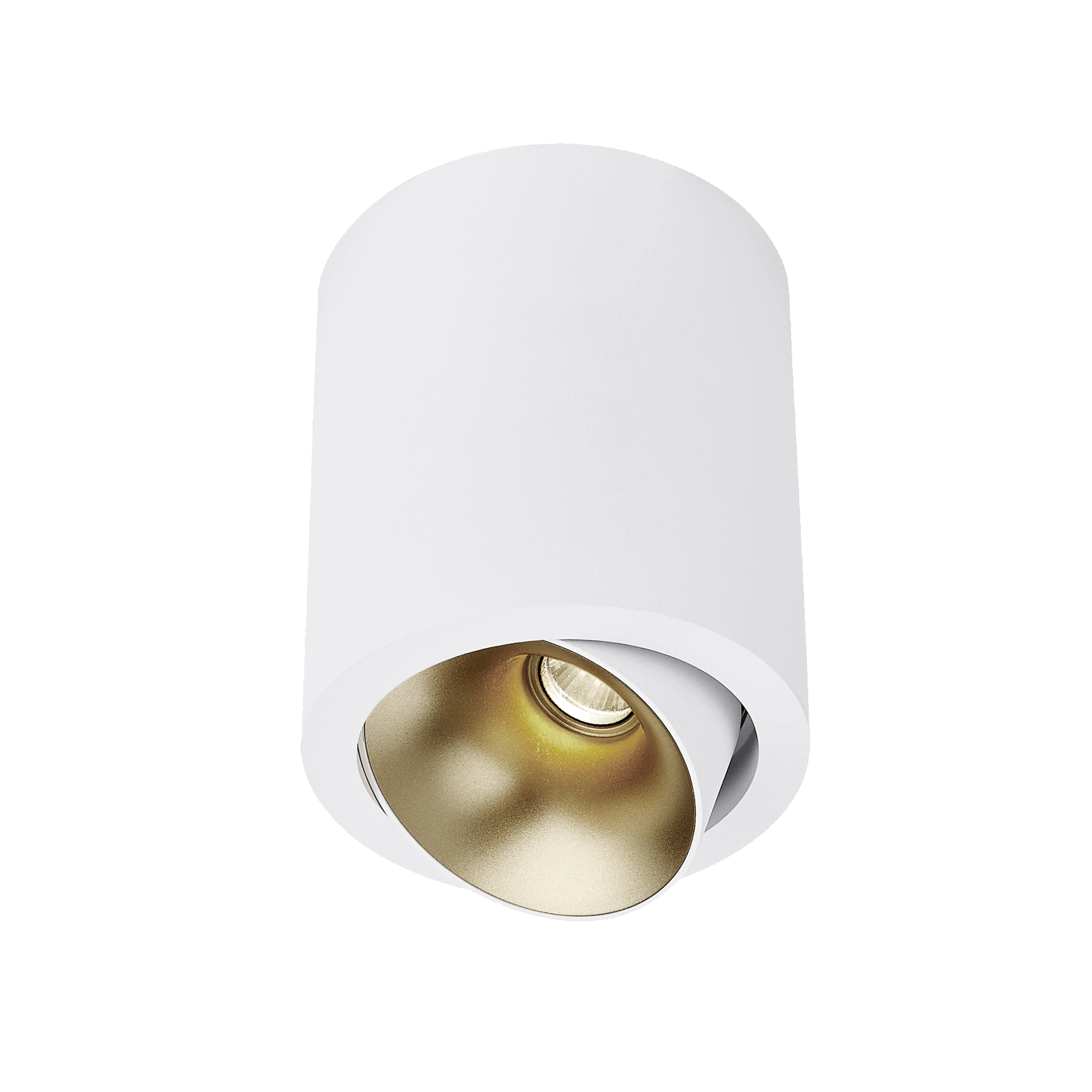 White version of the Dea Flora M with golden reflector, a surface-mounted luminaire designed by Karizma Luce.