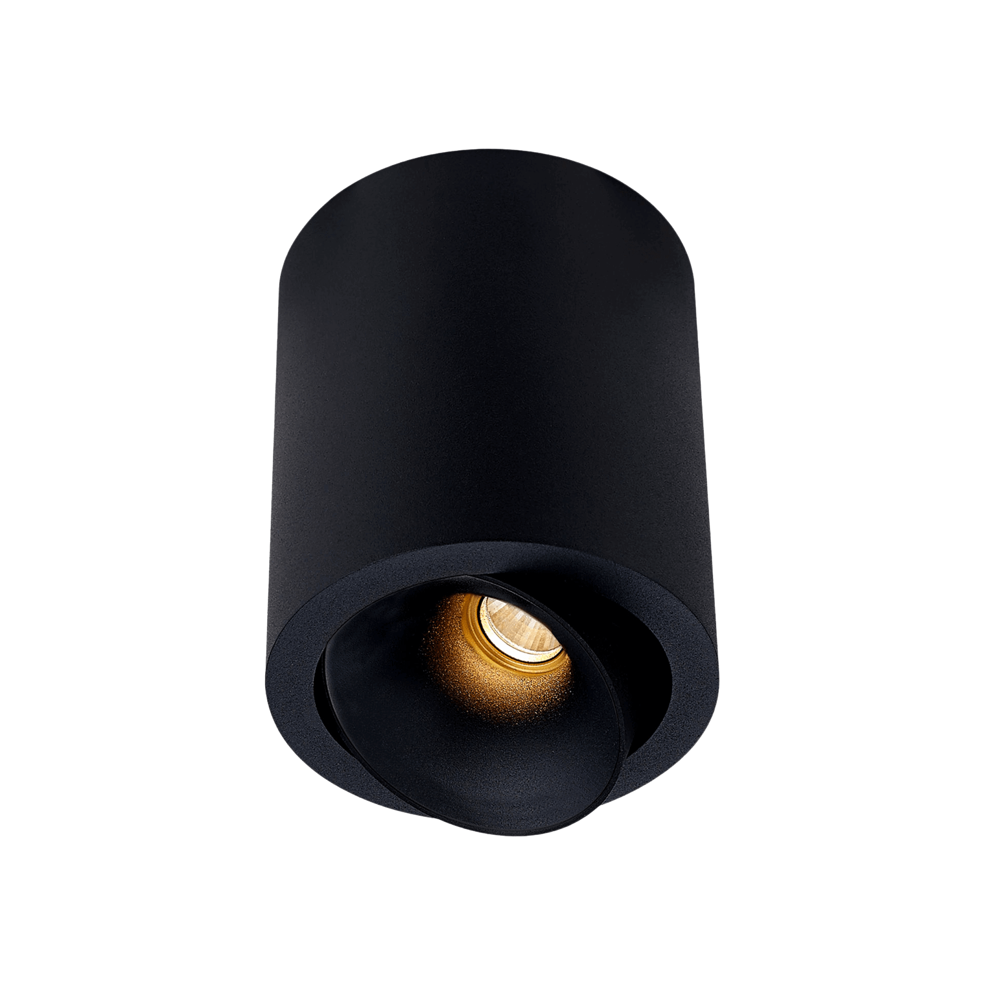 Black version of the Dea Flora M with black matt reflector, a surface-mounted luminaire designed by Karizma Luce.