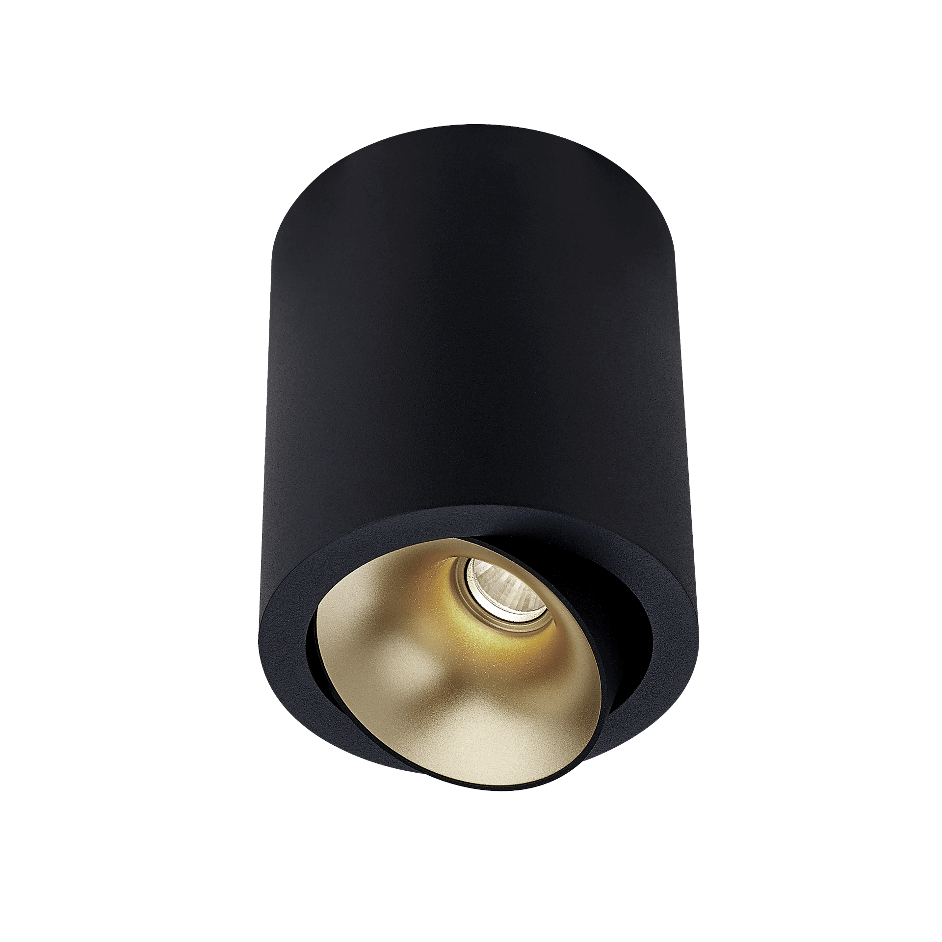 Black version of the Dea Flora M with golden reflector, a surface-mounted luminaire designed by Karizma Luce.
