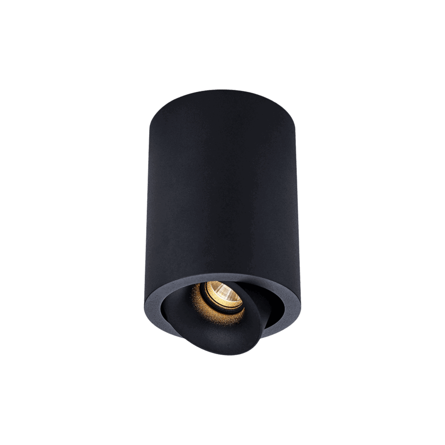 Black version of the Dea Flora S with black matt reflector, a surface-mounted luminaire designed by Karizma Luce.
