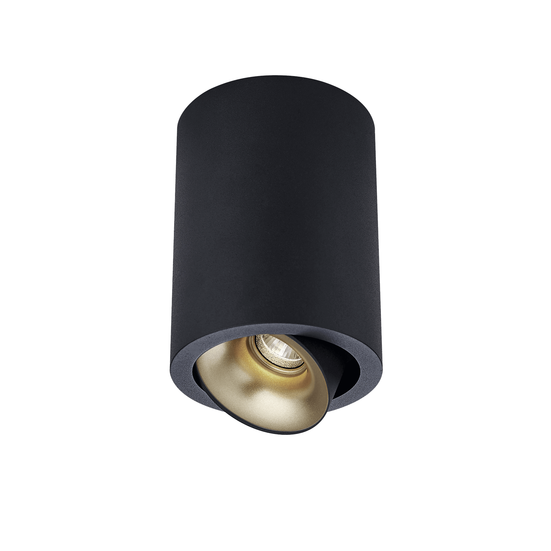 Black version of the Dea Flora S with golden reflector, a surface-mounted luminaire designed by Karizma Luce.