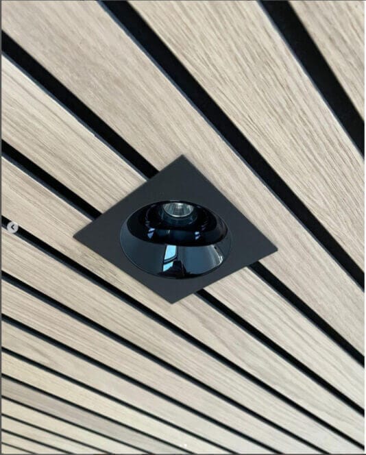 Dea Amor in woorden panels