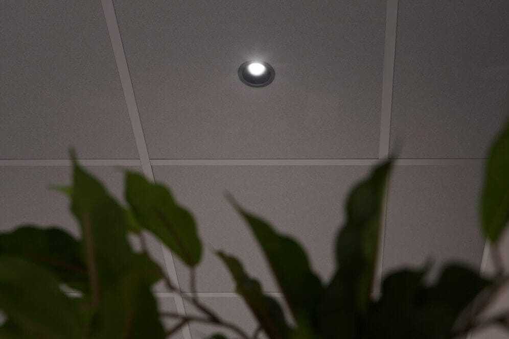 Spot in office ceiling