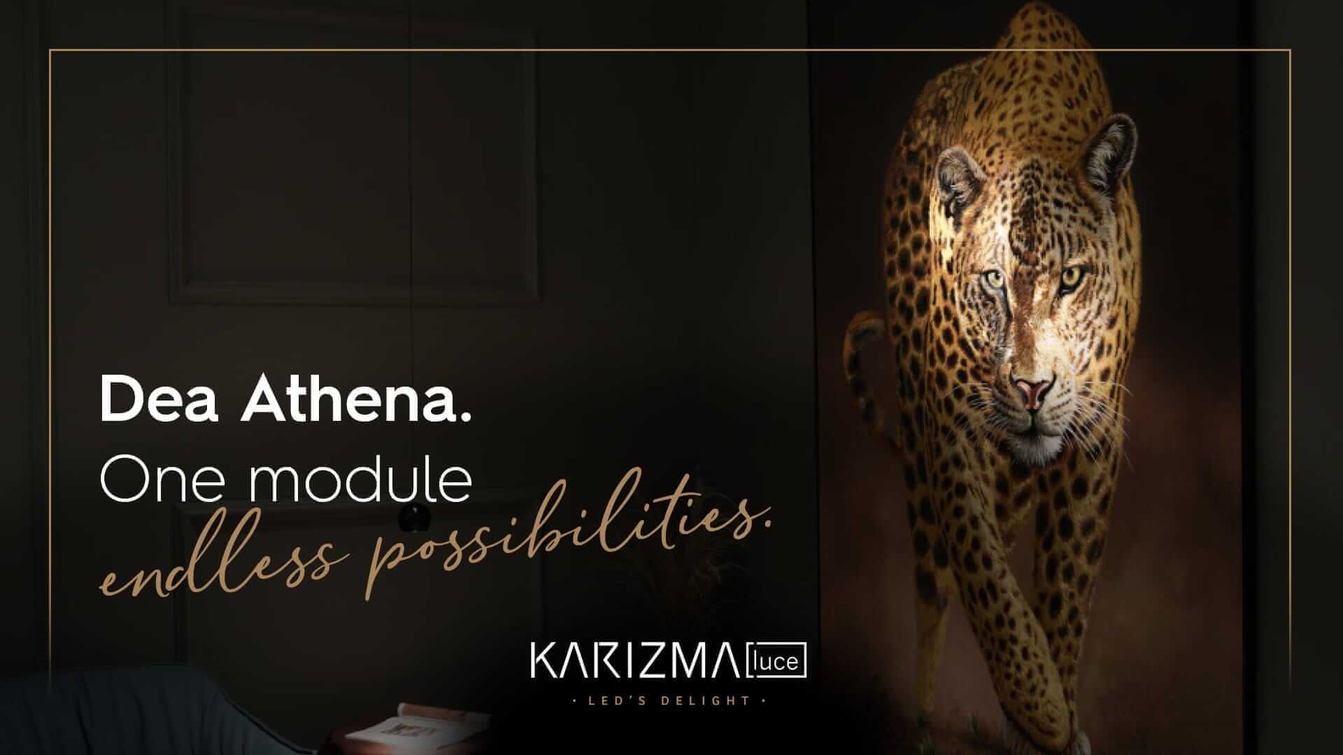 Dea Athena modular system | Installation frames