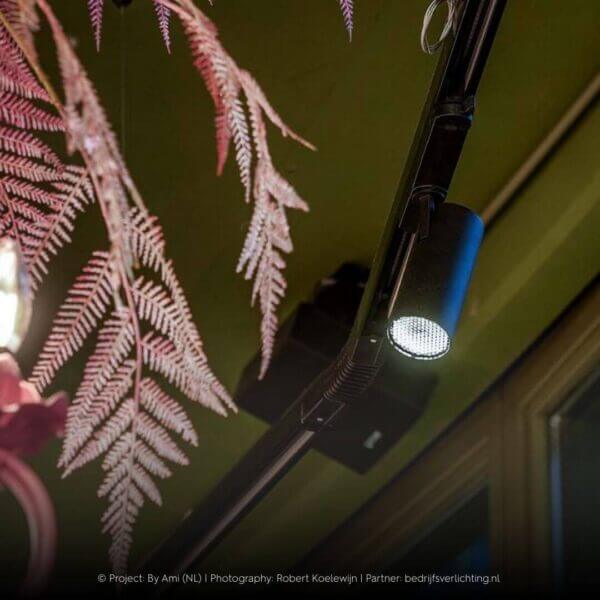 Karizma Luces Caro trackspot with honeycomb close up.