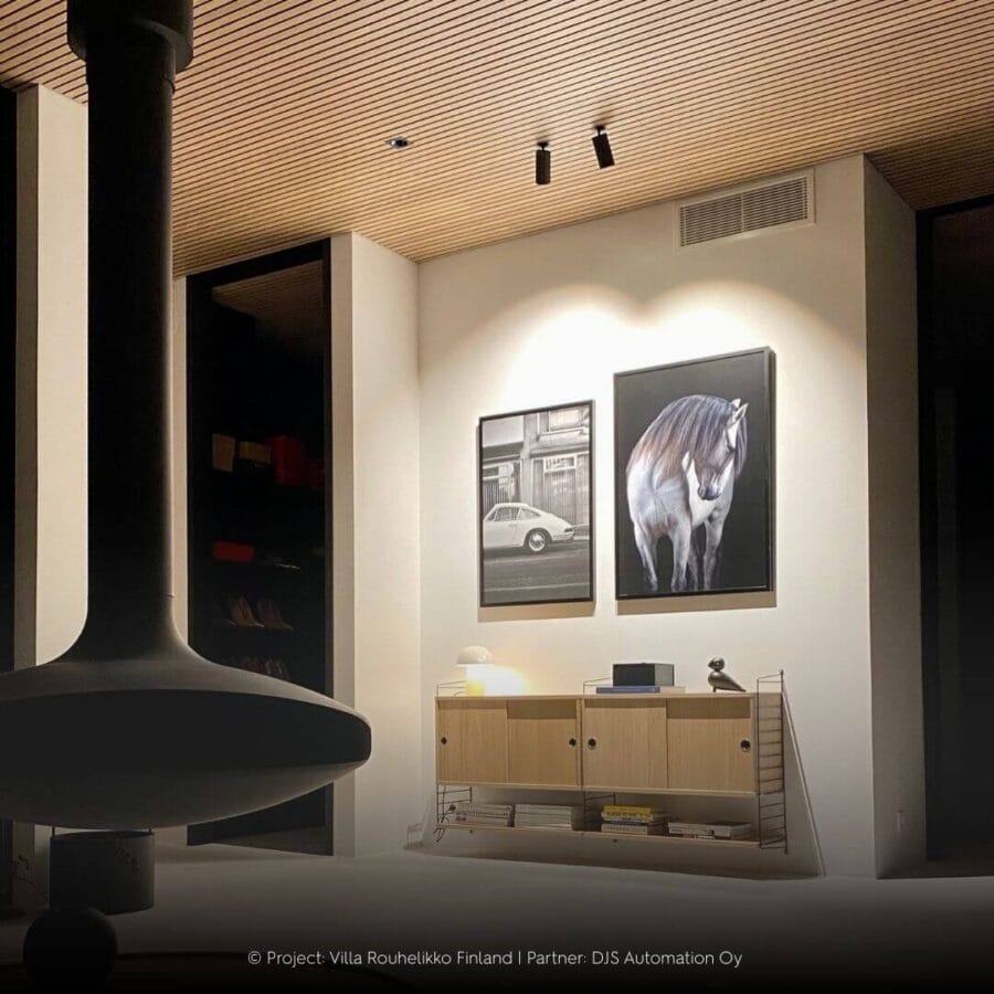 Finnish interior with wooden ceiling and black Dea Cura XS spots.