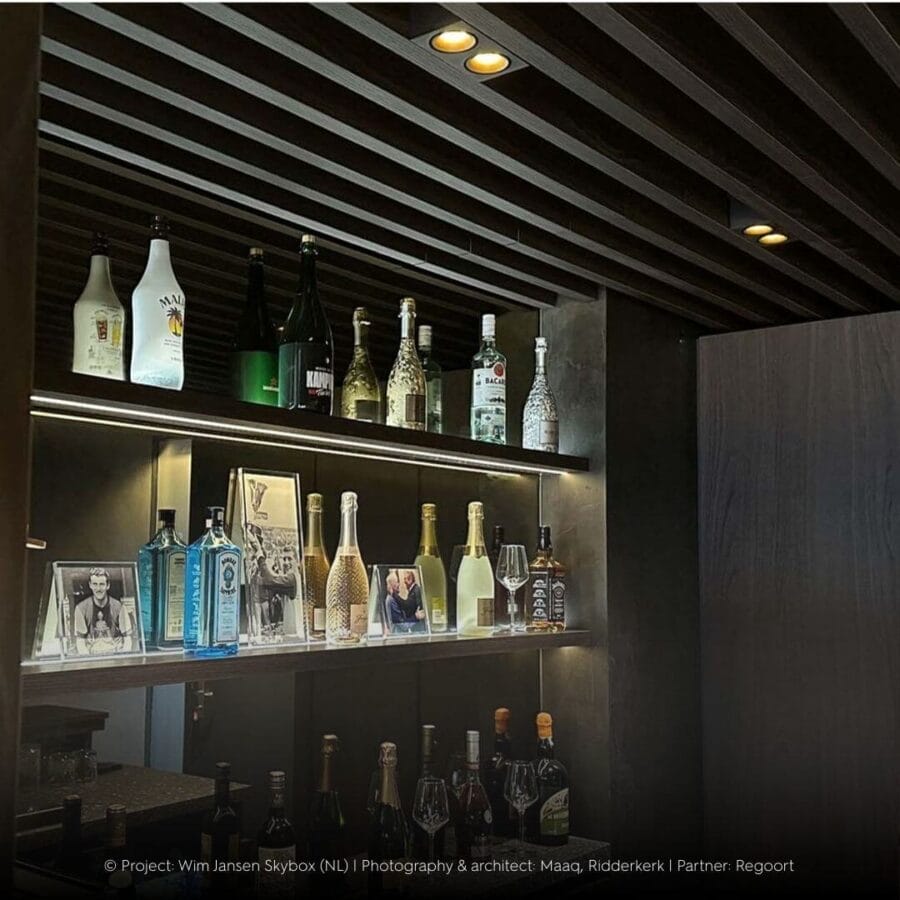 Black Dea Fauna S duo build in the black ceiling with golden reflector.