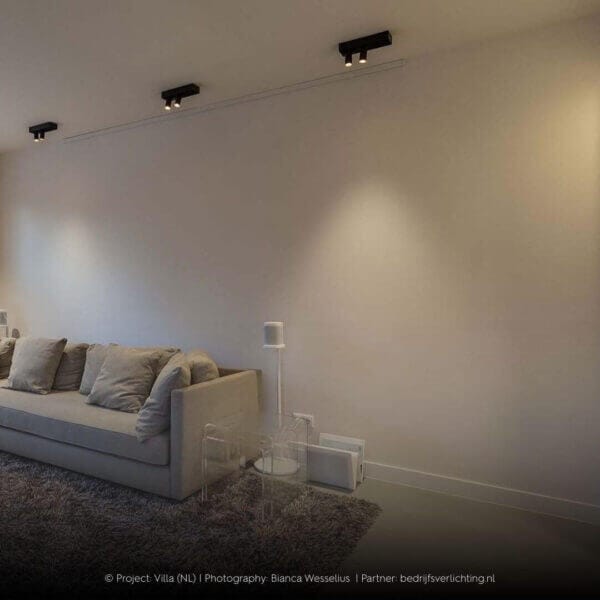 Living room with Dea Feronio XS.