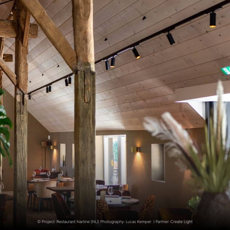 Track for slanted wooden ceiling in restaurant. Dea Juno M with golden reflector.