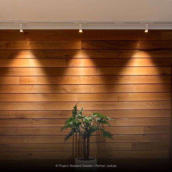 White track luminaires Dea Juno make beams on wooden wall.