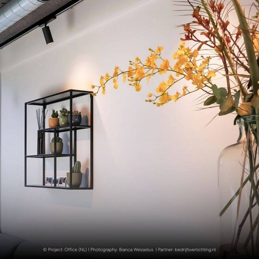 Track luminaire by Karizma Luce Dea Juno lighting up cabinet on wall