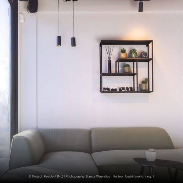 Dea Vesta above a couch.