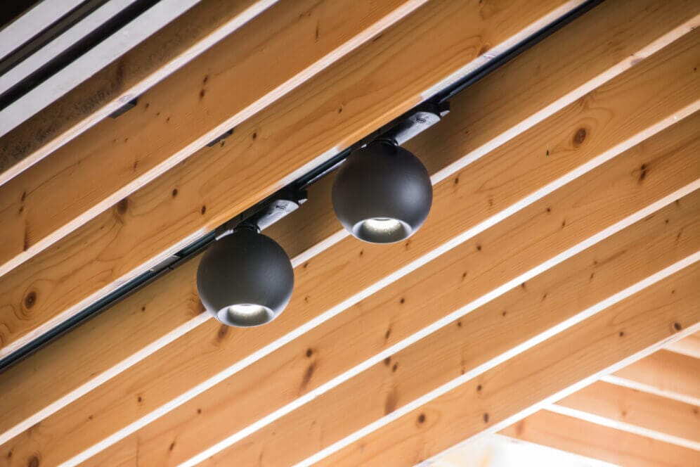 Dea Eros M TR in ceiling with beams.