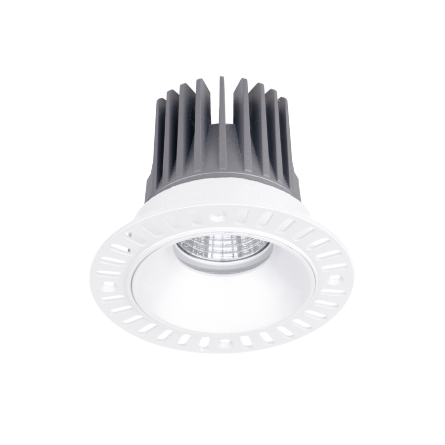 modulo-tl-anima-l-fixed-wh
